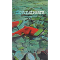 Downstream: Reimagining Water