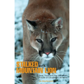 Stalked by a Mountain Lion: Fear, Fact, And The Uncertain Future Of Cougars In America