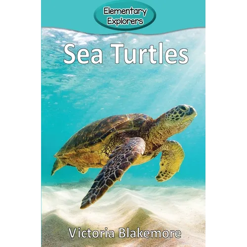 Sea Turtles