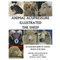 Animal Acupressure Illustrated The Sheep