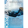 Snowstruck: In the Grip of Avalanches