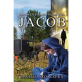 Lancaster Amish Home for Jacob