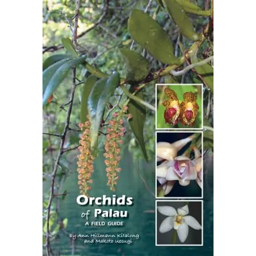 Orchids of Palau: A Field Guide
