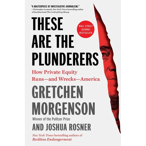 These Are the Plunderers: How Private Equity Runs -- And Wrecks -- America