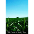 The Letters Of Saint Teresa