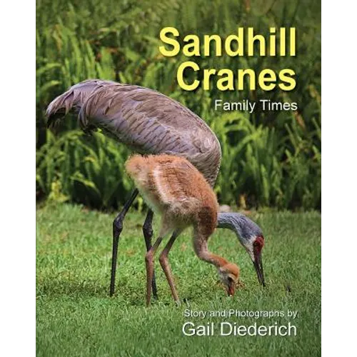 Sandhill Cranes, Family Times