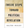 Twelve Steps Toward Political Revelation