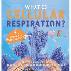 What is Cellular Respiration? Process, Products and Reactants of Cellular Respiration Explained Grade 6-8 Life Science