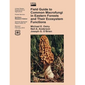 Field Guide to Common Macrofungi in Eastern Forests and Their Ecosystem Functions