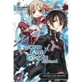 Sword Art Online 2: Aincrad (Light Novel): Volume 2