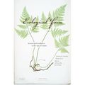 Ecological Form: System and Aesthetics in the Age of Empire