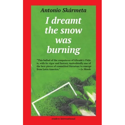 I Dreamt the Snow was Burning