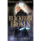 Blackbird Broken