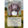 The Sprocker Spaniel: Everything you need to know from puppy to dog