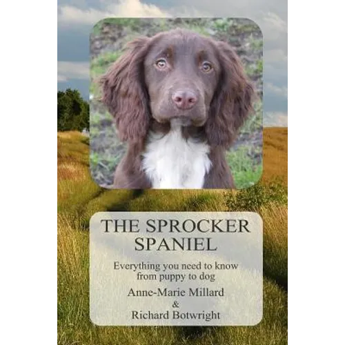 The Sprocker Spaniel: Everything you need to know from puppy to dog